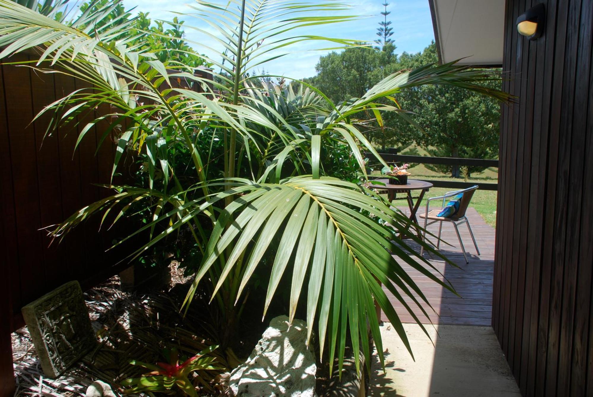 Appartement Coast Norfolk Island à Burnt Pine Extérieur photo