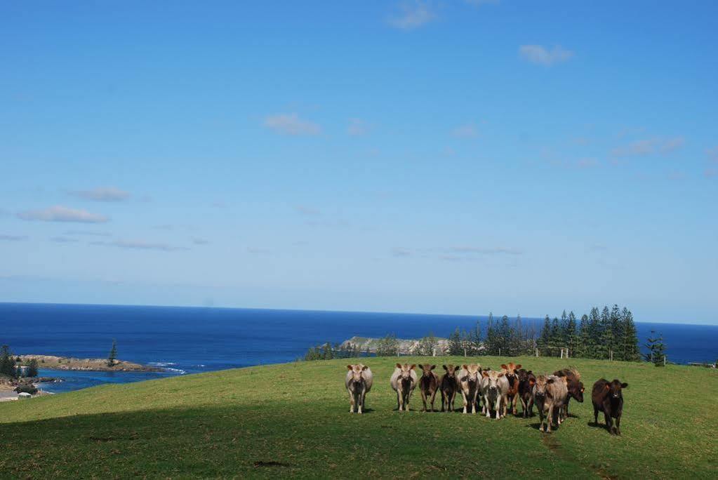Appartement Coast Norfolk Island à Burnt Pine Extérieur photo